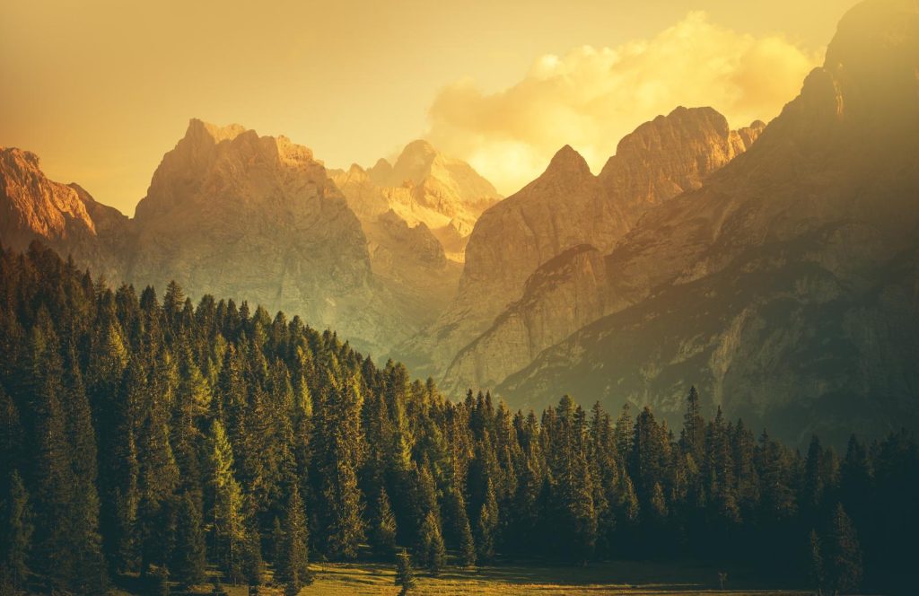Dove si trova Belluno