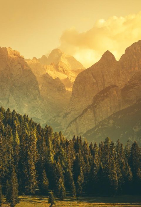Dove si trova Belluno