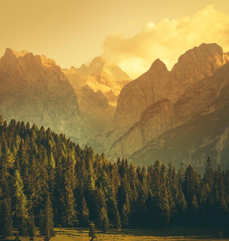 Dove si trova Belluno