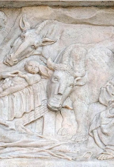 Dove si trova Bologna