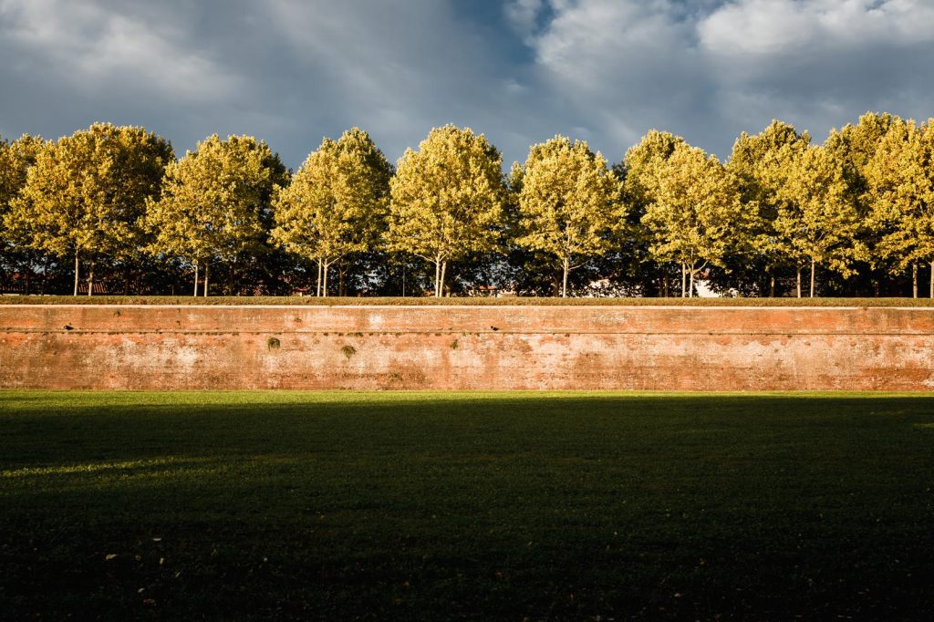 Dove si trova Lucca