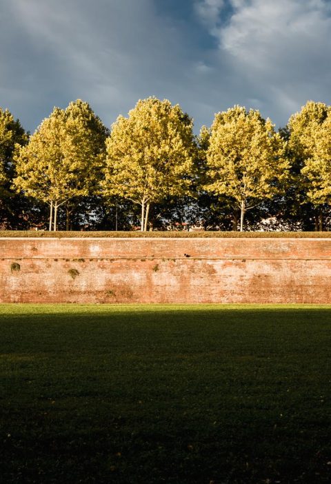 Dove si trova Lucca
