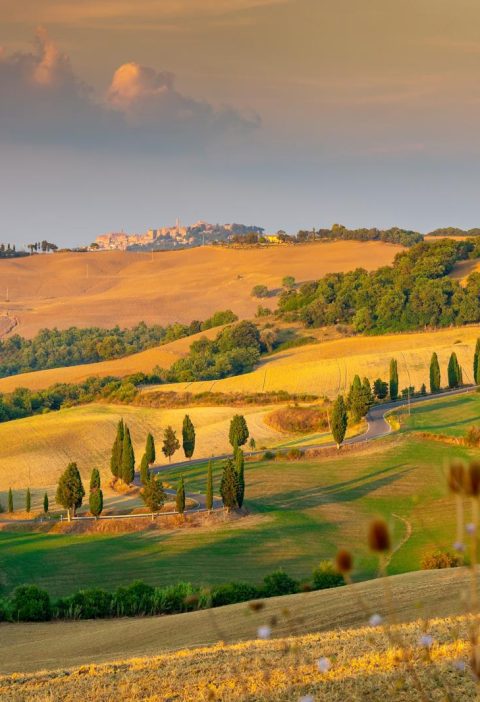 Dove si trova Montepulciano