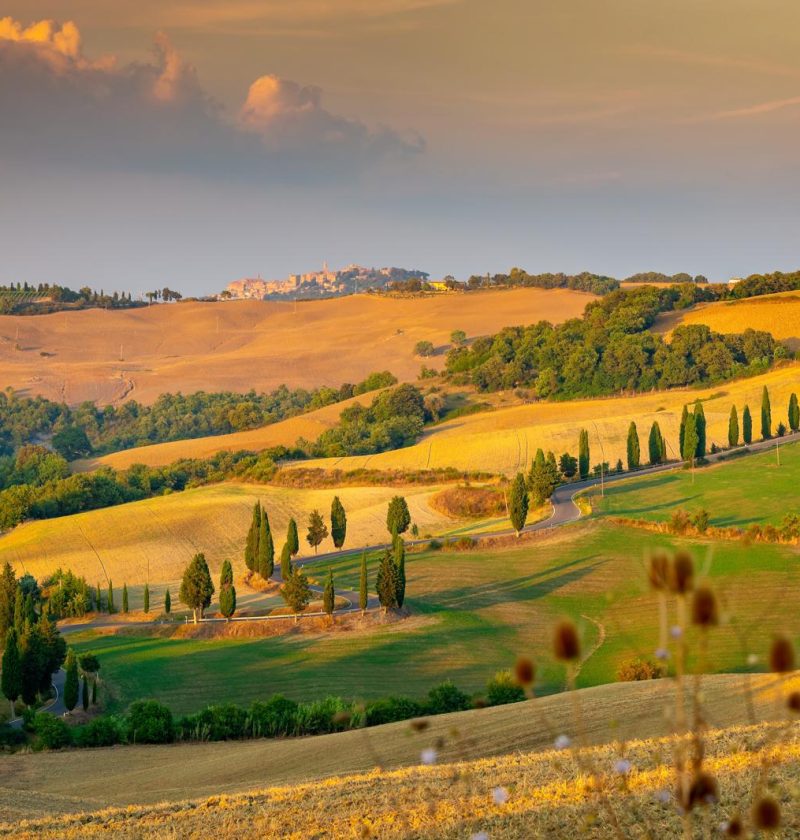 Dove si trova Montepulciano