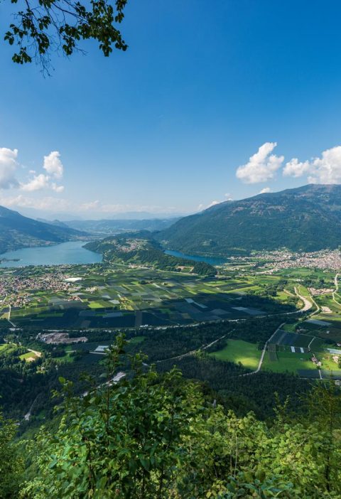Dove si trova Trento