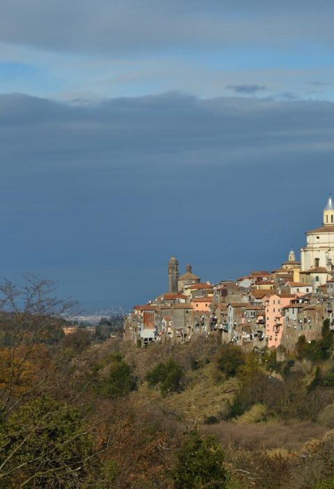 Dove si trova Zagarolo