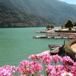Dove si Trova Lucca: Alla Scoperta del Gioiello Toscano!