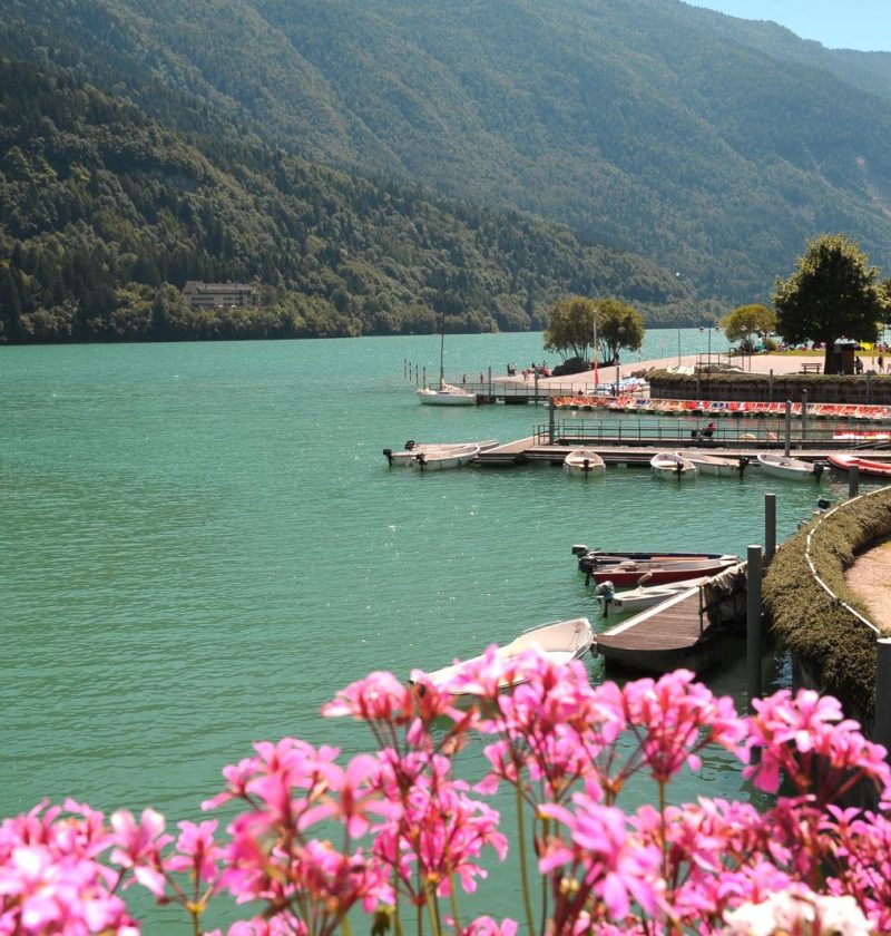 Dove si trova il Lago di Molveno