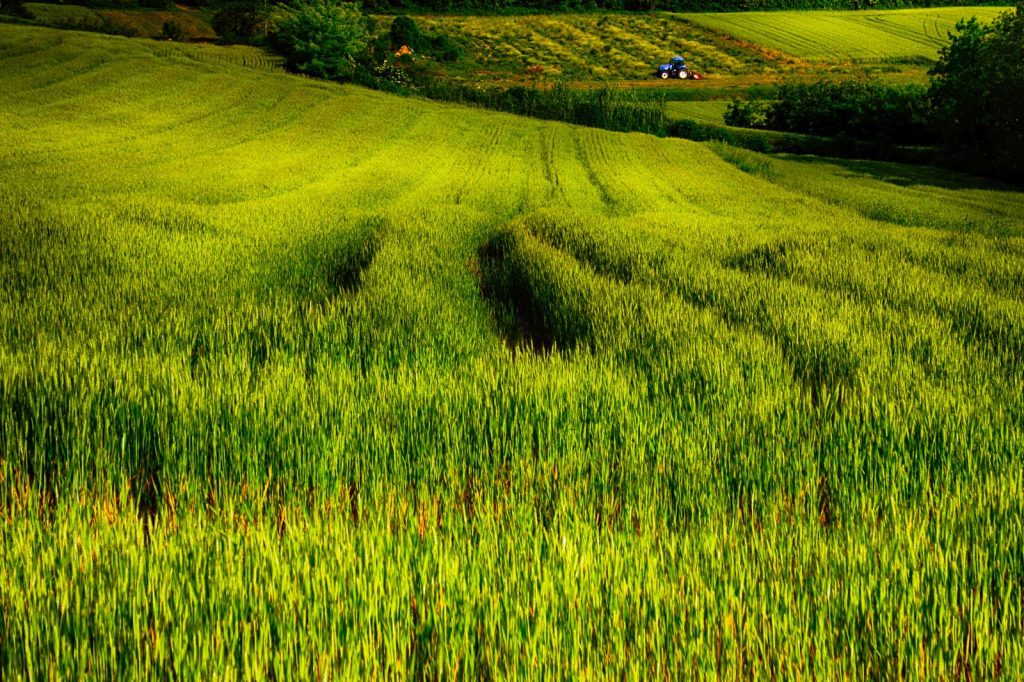 Dove si trova il Monferrato