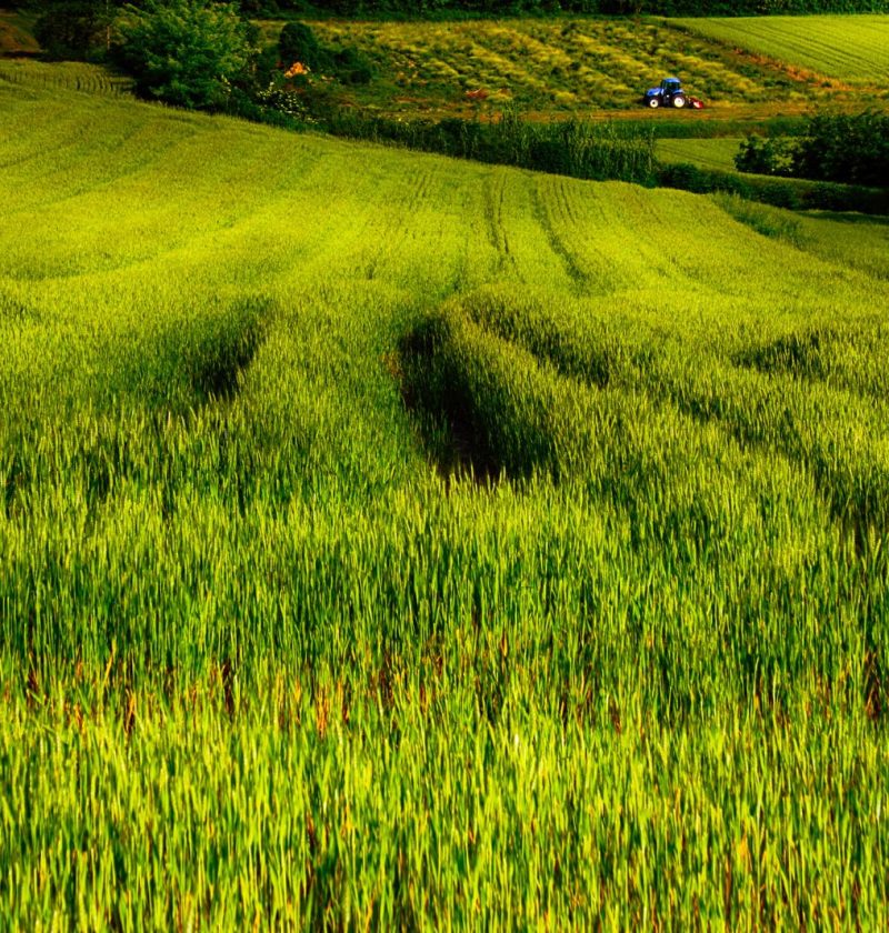 Dove si trova il Monferrato