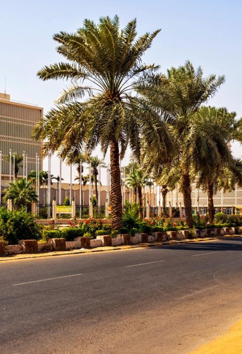 Dove si trova il Sudan