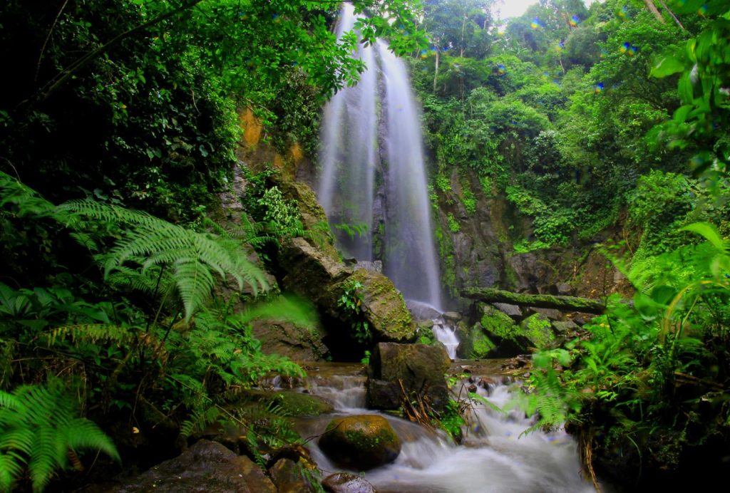 Dove si trova l'Amazzonia