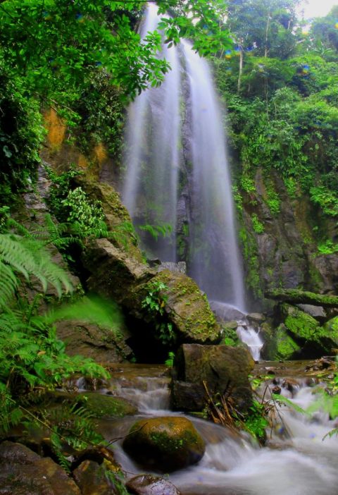 Dove si trova l'Amazzonia
