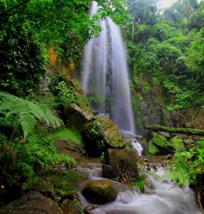 Dove si trova l'Amazzonia