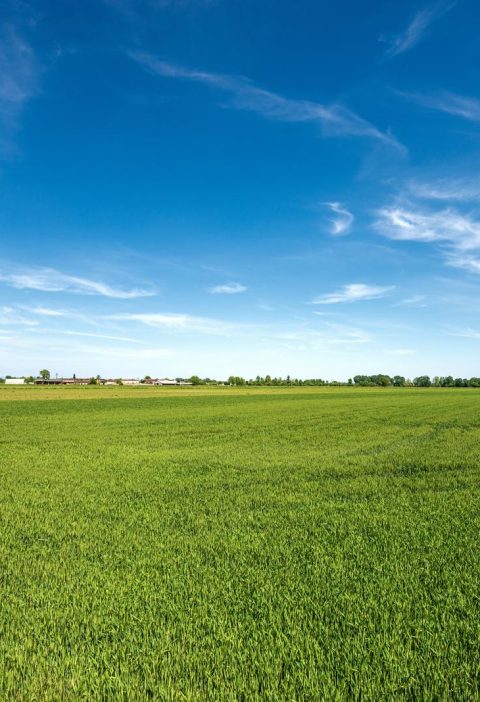 Dove si trova la Pianura Padana