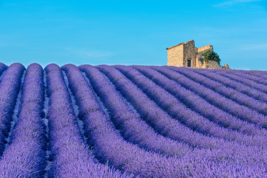 Dove si trova la Provenza
