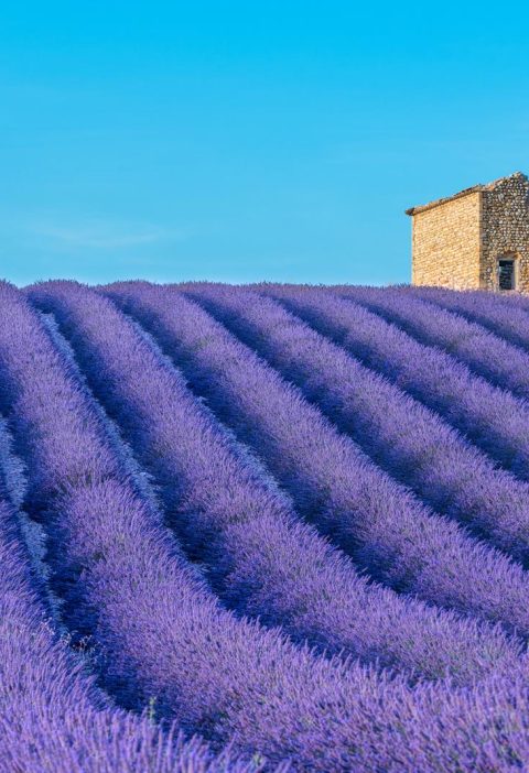Dove si trova la Provenza