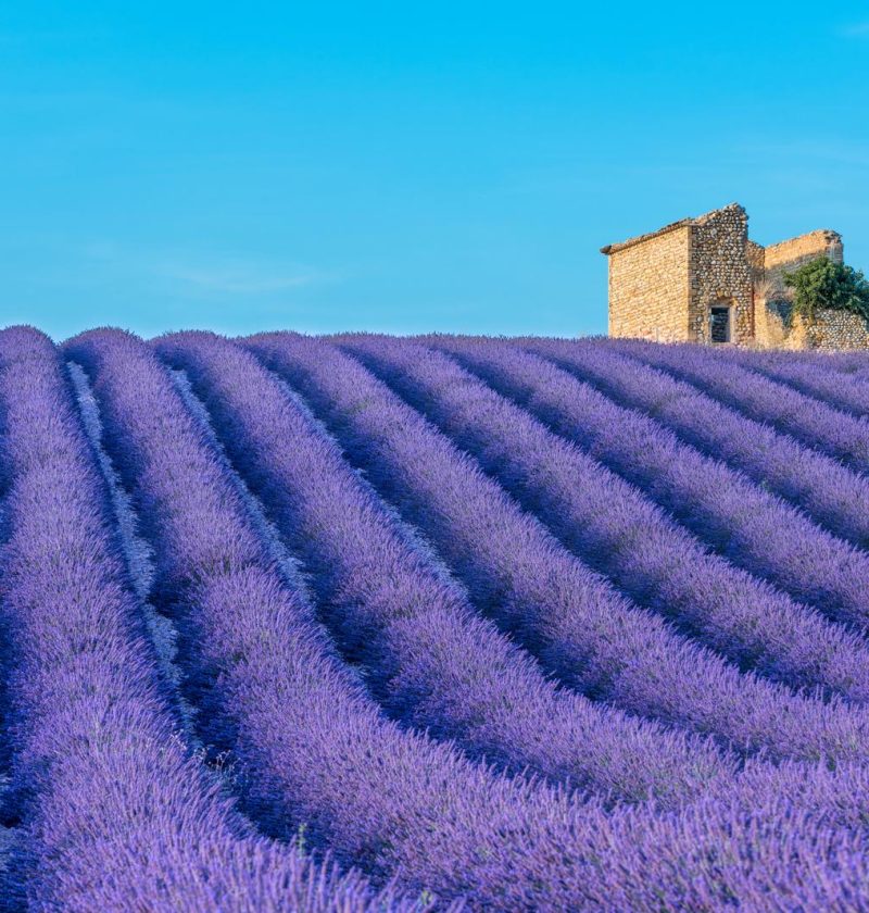 Dove si trova la Provenza