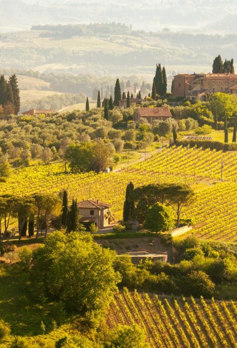 Dove si trova la Toscana