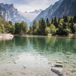 Isole Chatham: Un Paradiso Nascosto nel Cuore del Pacifico per Avventurieri e Amanti della Natura