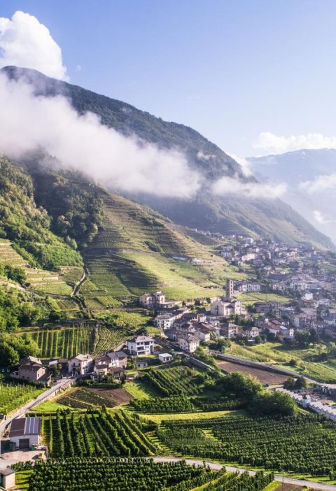 Dove si trova la Valtellina