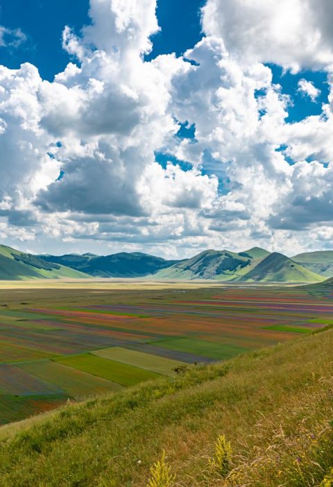 Dove si trovano le Marche