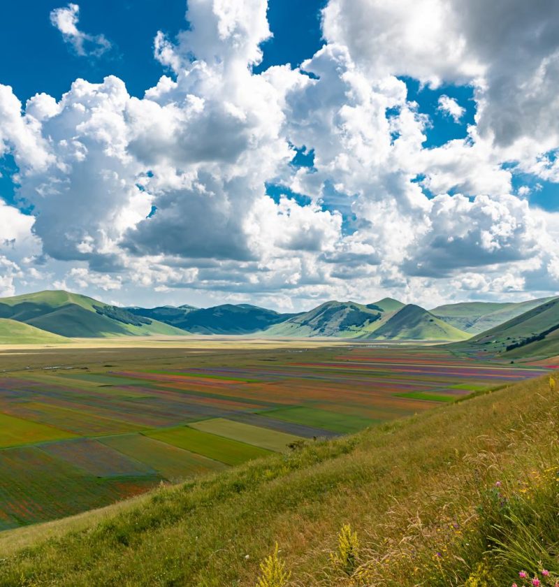 Dove si trovano le Marche