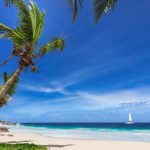 Scopri il Paradiso Tropicale: Il Momento Perfetto per Avventurarsi in Costa Rica!
