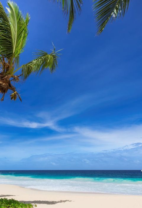 Dove si trovano le Seychelles