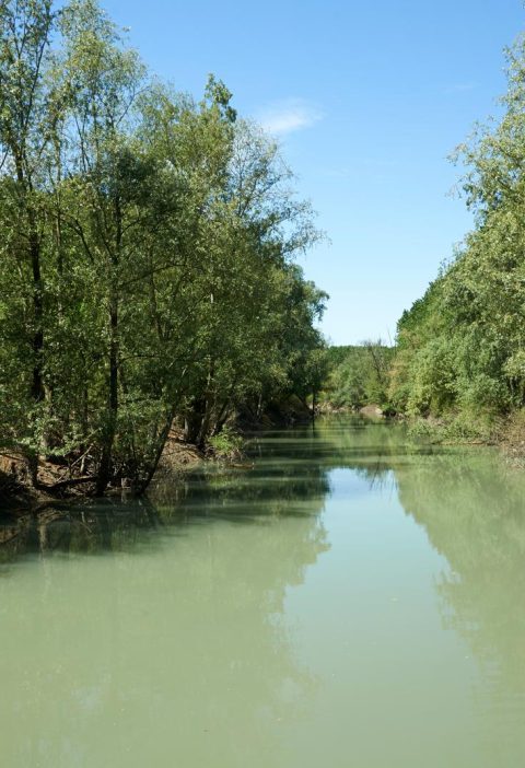 Fiume Enza