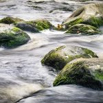 Skagerrak: Tra Mare e Storia, Esplora il Confine Acquatico del Nord Europa!