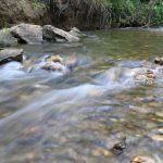 Dove si trova Lubiana? Alla Scoperta della Perla Slovena!