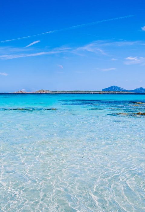 Isola dell'asinara