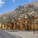 Dove si trova la Manduria: Alla Scoperta dell’Anima del Primitivo!