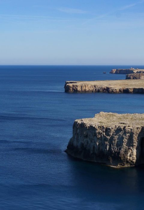 Isola di Falconera