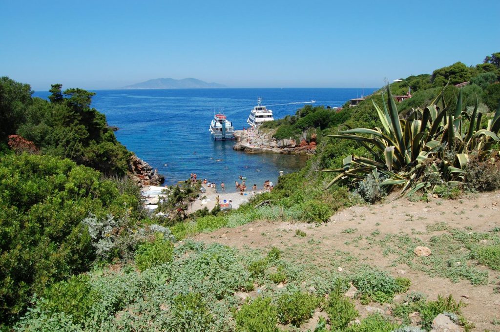 Isola di Giannutri
