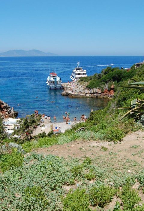 Isola di Giannutri