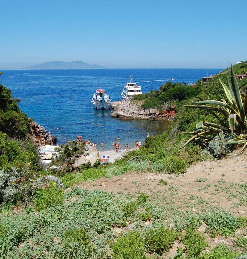 Isola di Giannutri