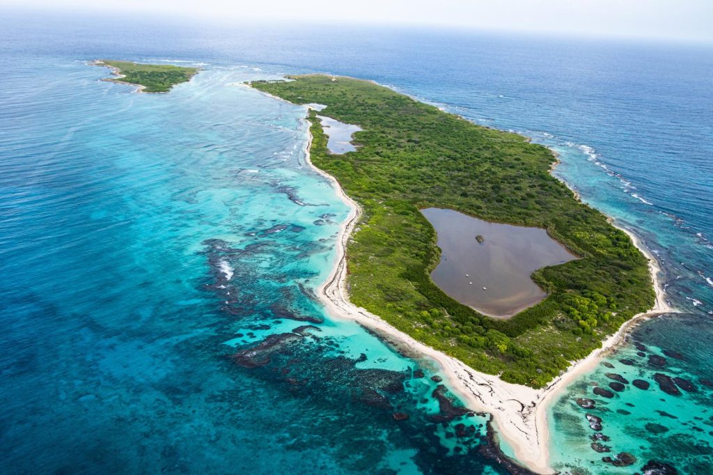 Isola di Guadalupe