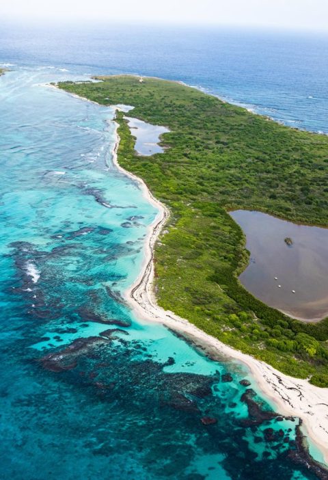 Isola di Guadalupe