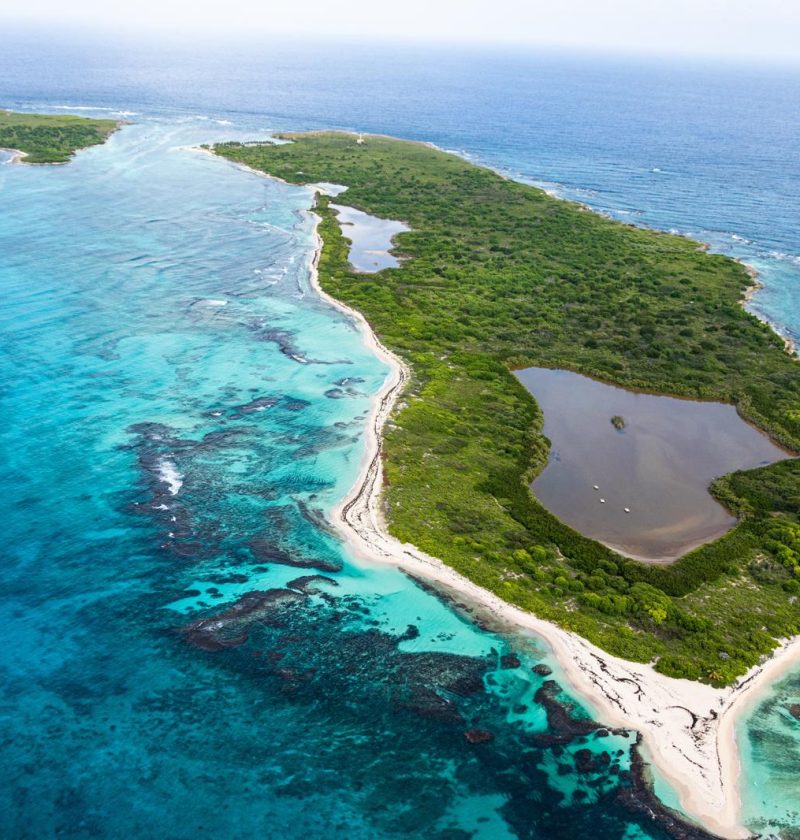 Isola di Guadalupe