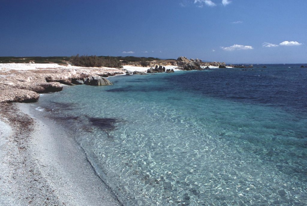 Isola di Mal di Ventre