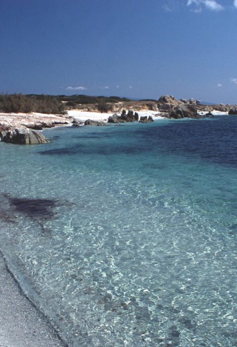 Isola di Mal di Ventre