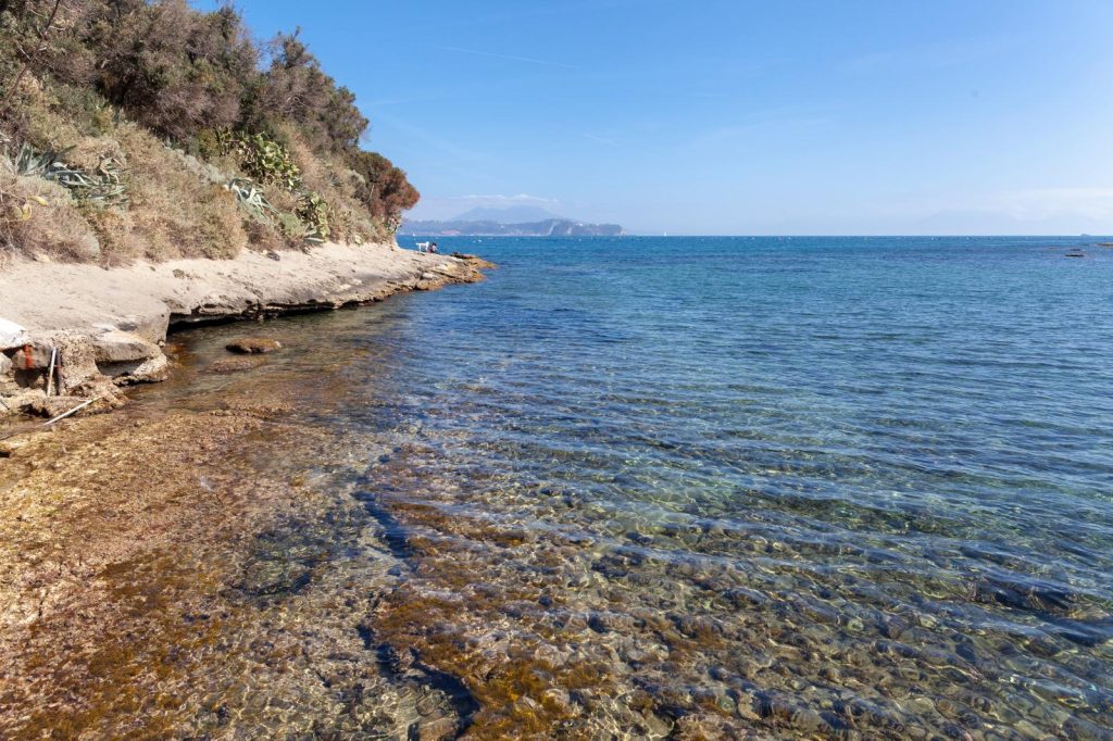 Isola di Punta Pennata