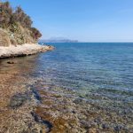 Isola dell’Asinara: Gioiello Selvaggio del Mediterraneo tra Storia e Natura Incantata