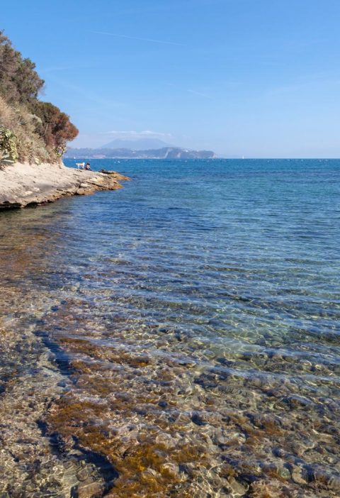Isola di Punta Pennata