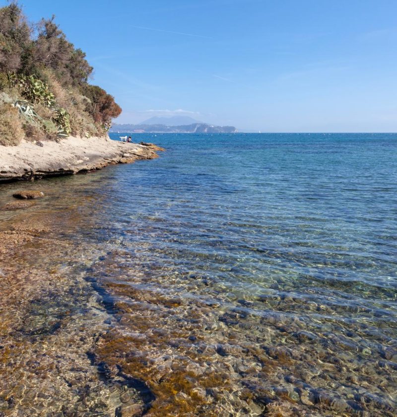 Isola di Punta Pennata