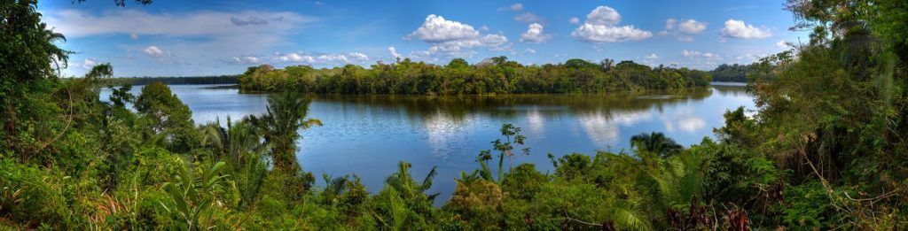 Isola di Queimada Grande