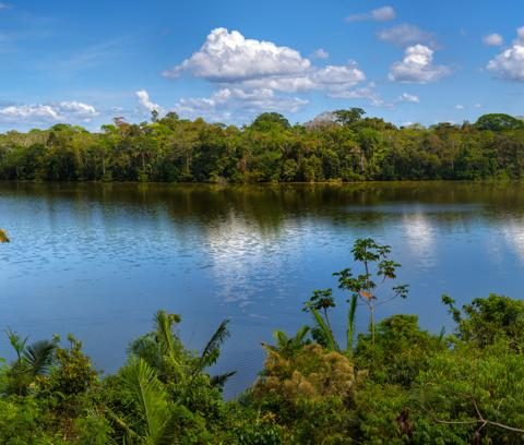 Isola di Queimada Grande