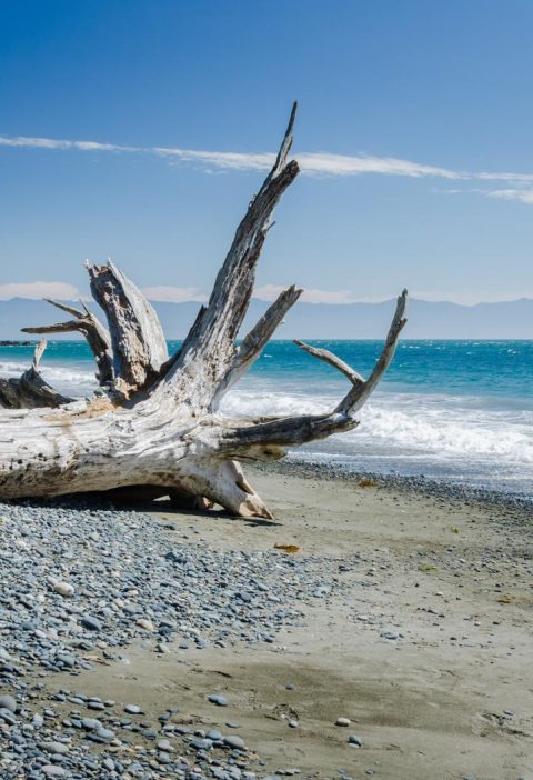 Isola di Vancouver
